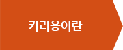 카리용이란